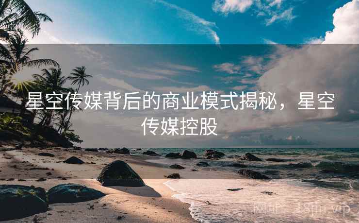 星空传媒背后的商业模式揭秘,星空传媒控股 星空传媒背后的商业模式揭秘,星空传媒控股