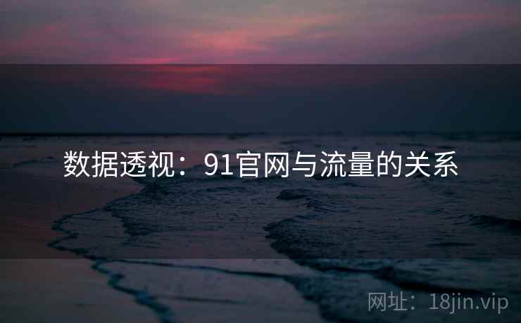 数据透视：91官网与流量的关系