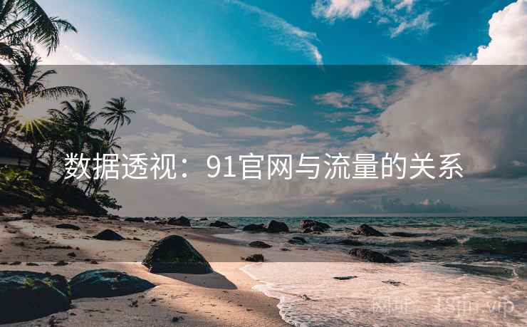 数据透视:91官网与流量的关系 数据透视:91官网与流量的关系