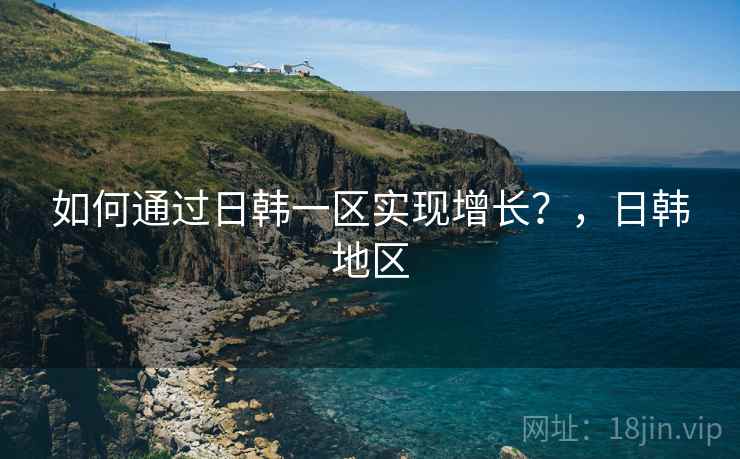 如何通过日韩一区实现增长?,日韩地区 如何通过日韩一区实现增长?,日韩地区