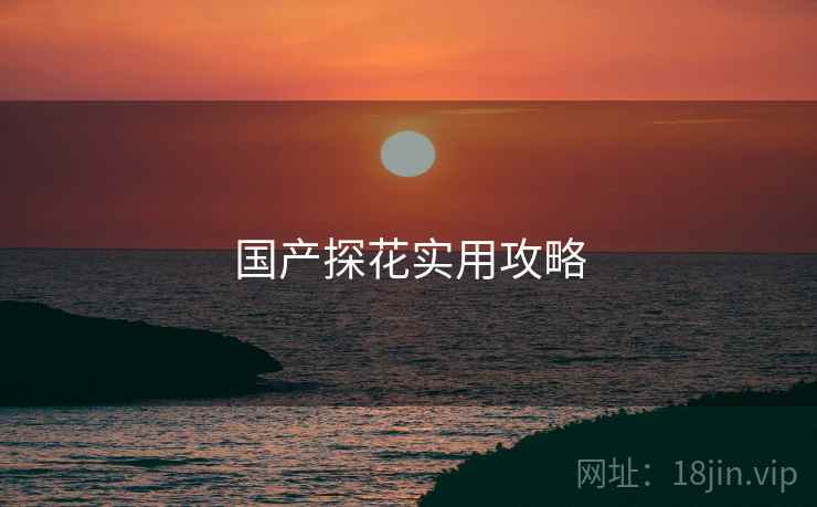 国产探花实用攻略 国产探花实用攻略